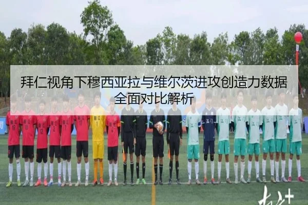 拜仁视角下穆西亚拉与维尔茨进攻创造力数据全面对比解析
