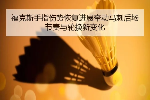福克斯手指伤势恢复进展牵动马刺后场节奏与轮换新变化